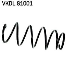 SKF VKDL 81001